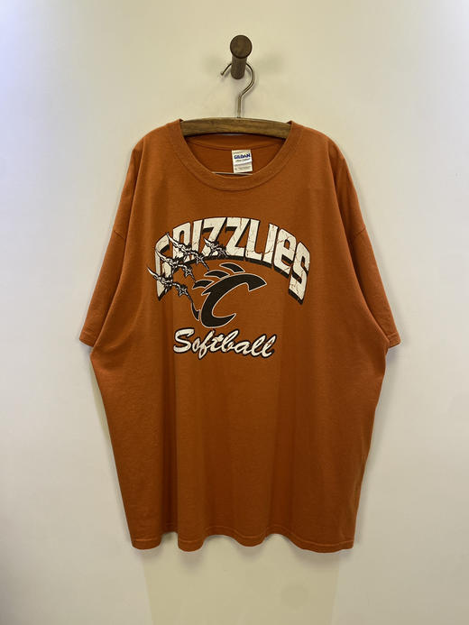 GILDAN 短袖T恤 _SST(XL) 商品图4