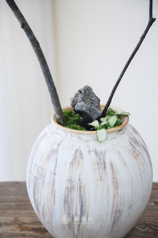 米色盆造型春花 商品图1