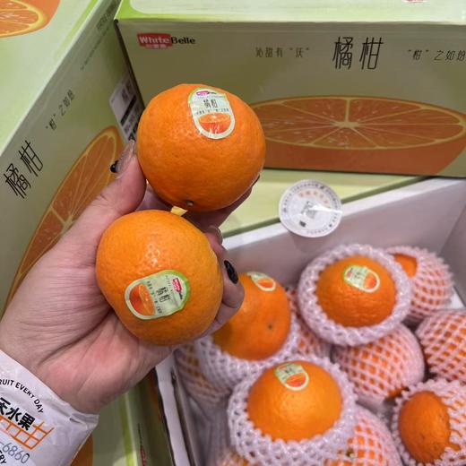 白富美橘柑 浓浓香甜的柑橘香 礼盒装 商品图0
