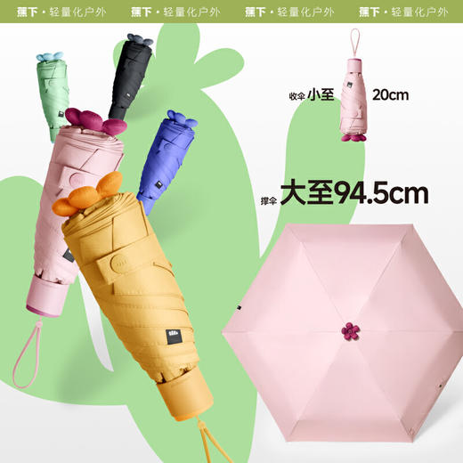 【春上新】【新品】6楼蕉下五折黑胶防晒伞BM528吊牌价249 商品图2