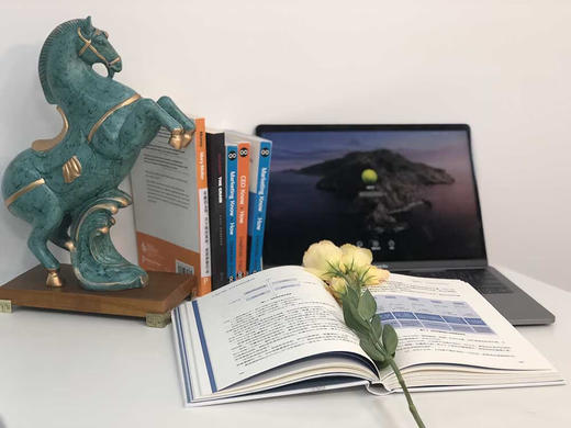 创始人精神：中小企业如何应对黑天鹅（精装典藏版） 商品图5