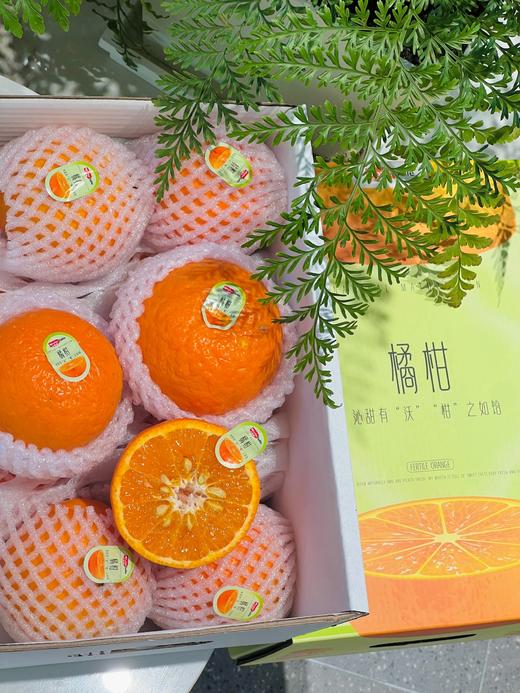 白富美橘柑 浓浓香甜的柑橘香 礼盒装 商品图1