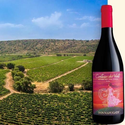 多娜佳塔风之吻红葡萄酒 Donnafugata Contesa dei Venti 商品图3