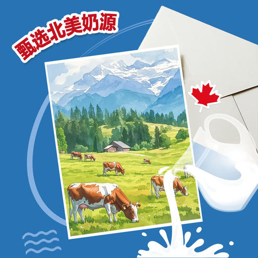 MM 山姆 雀巢 加拿大进口Drumstick双拼口味甜筒 10*140ml 商品图3