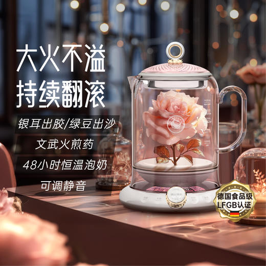 霂月小钟瓶养生壶 商品图0