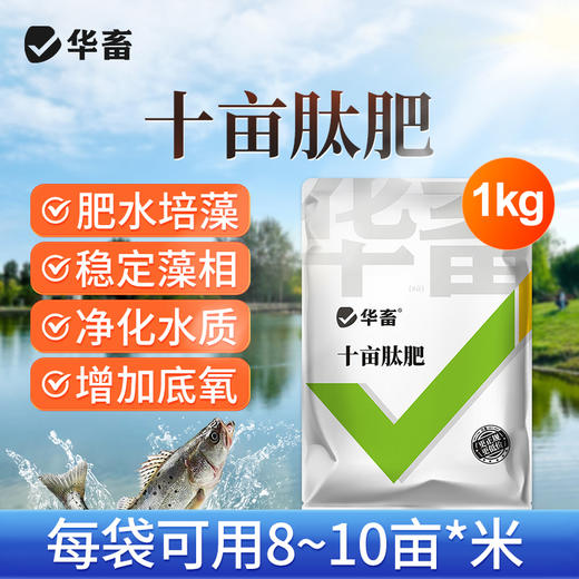华畜十亩肽肥水产养殖鱼虾蟹塘低温培藻补菌净化水质氨基酸肥水宝 商品图1