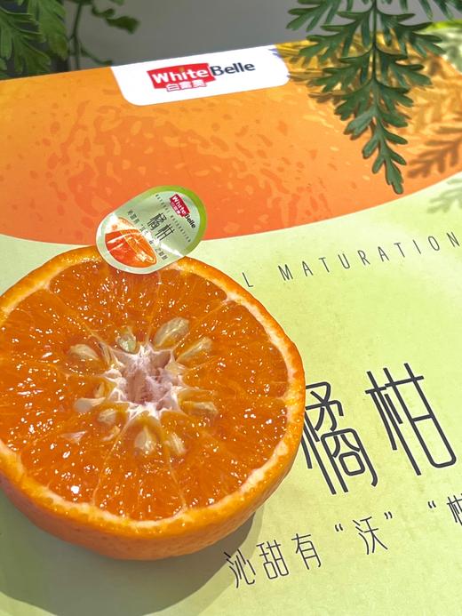 白富美橘柑 浓浓香甜的柑橘香 礼盒装 商品图2
