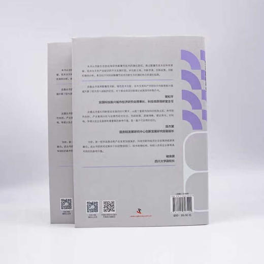 颠覆性技术创新生态路径研究   “十四五”时期国家重点出版物出版专项规划项目（精装典藏版） 商品图5