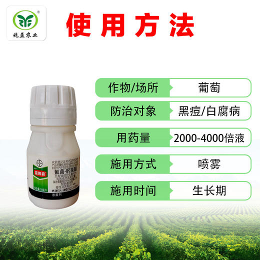 葡萄白腐病  灰霉病防治药剂，德国拜耳  露娜森 商品图2