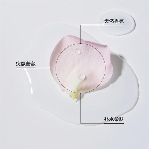 雏菊的天空 天然香氛大马士革玫瑰纯露318ml【赠玫瑰纯露60ml*1瓶】 商品图2