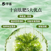华畜十亩肽肥水产养殖鱼虾蟹塘低温培藻补菌净化水质氨基酸肥水宝 商品缩略图3