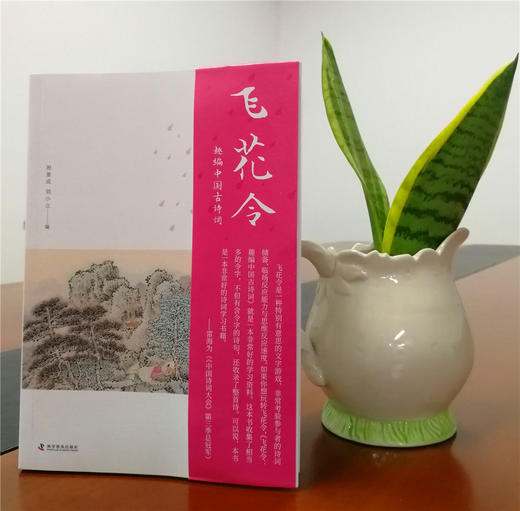 飞花令 趣编中国古诗词 商品图4