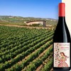多娜佳塔贝乐赛红葡萄酒 Donnafugata Bell'Assi Frappato 商品缩略图2