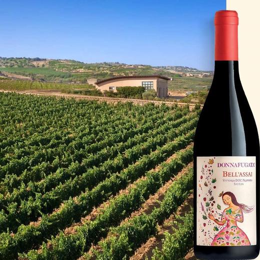 多娜佳塔贝乐赛红葡萄酒 Donnafugata Bell'Assi Frappato 商品图2