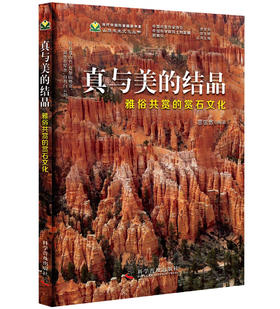 真与美的结晶 雅俗共赏的赏石文化