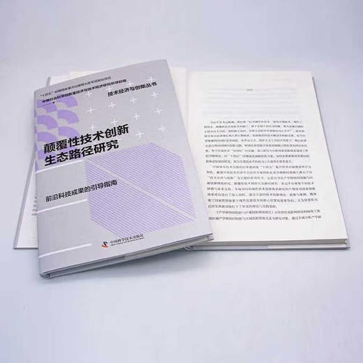 颠覆性技术创新生态路径研究   “十四五”时期国家重点出版物出版专项规划项目（精装典藏版） 商品图6