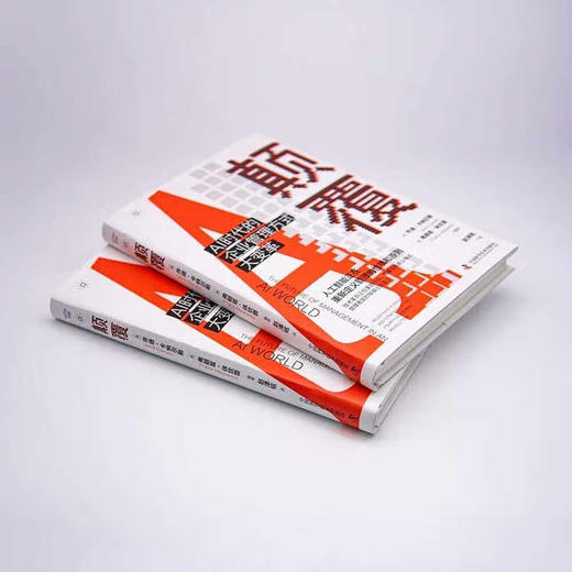 颠覆: AI时代的企业管理方式大变革 商品图4