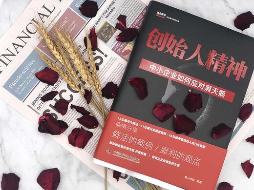 创始人精神：中小企业如何应对黑天鹅（精装典藏版） 商品图1