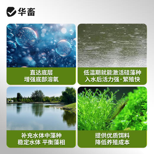 华畜十亩肽肥水产养殖鱼虾蟹塘低温培藻补菌净化水质氨基酸肥水宝 商品图4