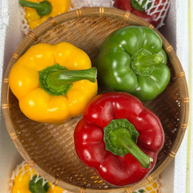 青红椒  约500g/份（2个）
