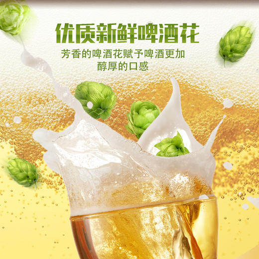 德国进口德国皇冠小麦｜原浆黄啤｜黑啤啤酒500ml*24【箱】 商品图4