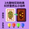 【激发孩子创造力】魔纸电路手工DIY自制作材料包儿童男孩益智科学实验发光贺卡玩具 商品缩略图4