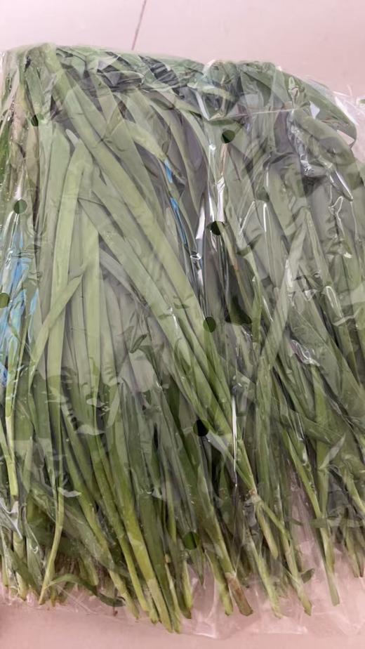 鸿翠园 有机韭菜 商品图5