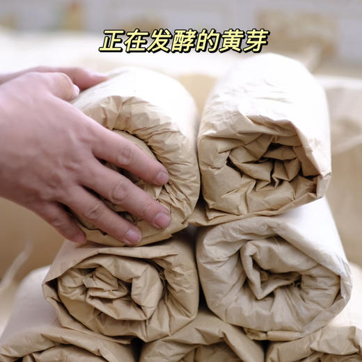 2025新头茬手工蒙顶黄芽，一茶难求！魏久淞亲制，三麸三包  芽条匀整  色泽嫩黄  芽毫显露  花香幽长  汤色黄亮透碧  滋味鲜醇回甘 商品图4