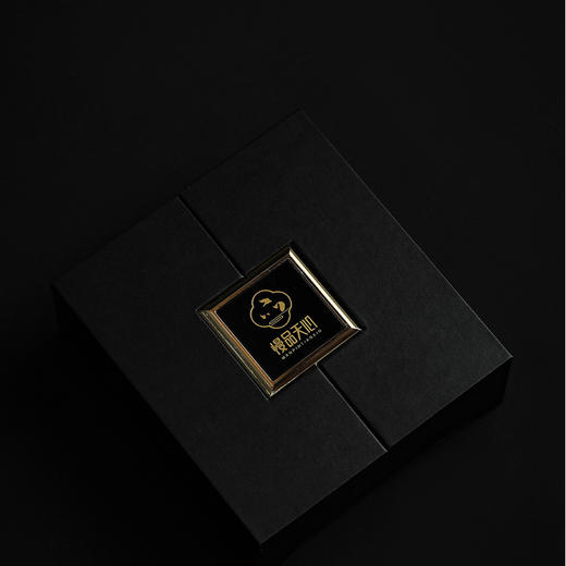 直入心扉 商品图0