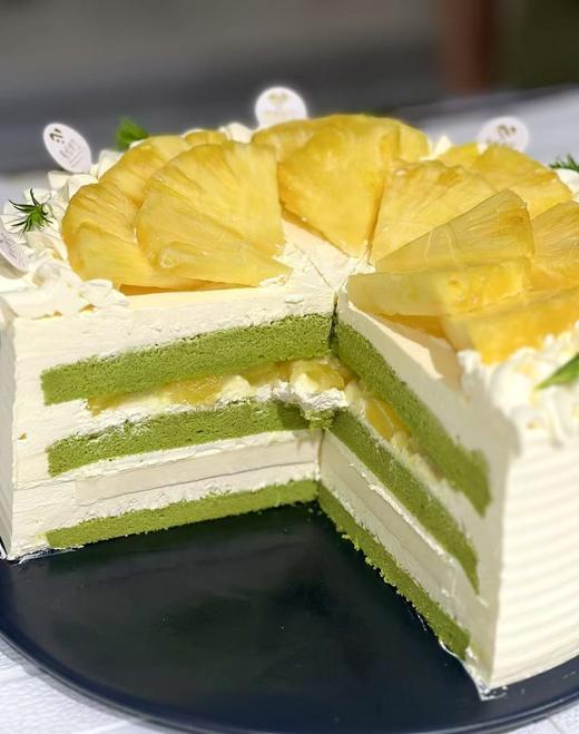 斑斓凤梨椰 商品图0