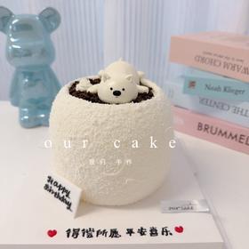 趴趴熊北极熊小白熊卡通蛋糕-低糖处理无添加