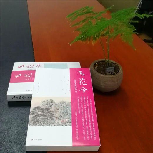 飞花令 趣编中国古诗词 商品图2
