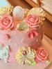 【韩式裱花】缤纷年华 商品缩略图2