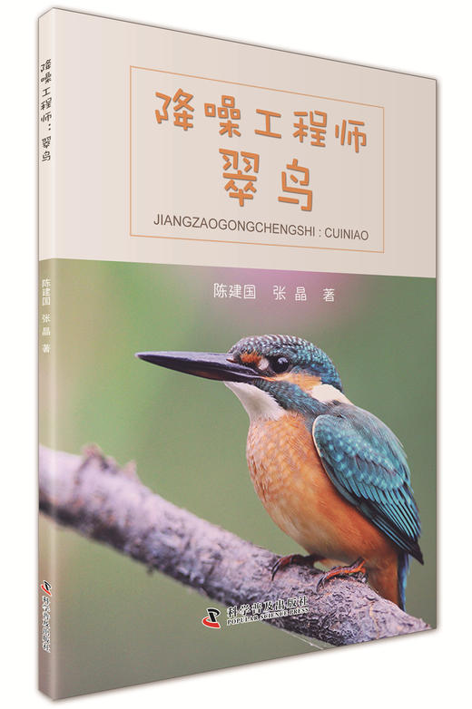 降噪工程师 翠鸟 商品图0