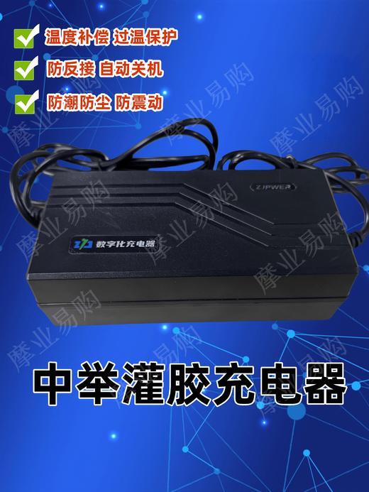 中举灌胶充电器（加长线1.5M） 商品图0