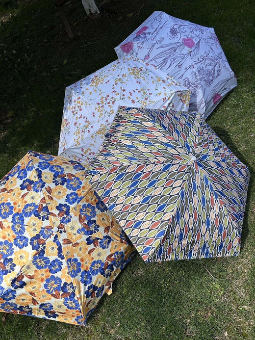 直发 韩国品牌AVRNA法式高级感晴雨伞 口袋伞 商品图0