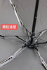 直发 韩国品牌AVRNA法式高级感晴雨伞 口袋伞 商品缩略图11