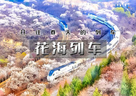 花海列车｜开往春天的列车の枝花正盛-春光正好-长城内外-分外妖娆-居庸关长城