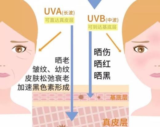 直发 韩国品牌AVRNA法式高级感晴雨伞 口袋伞 商品图1