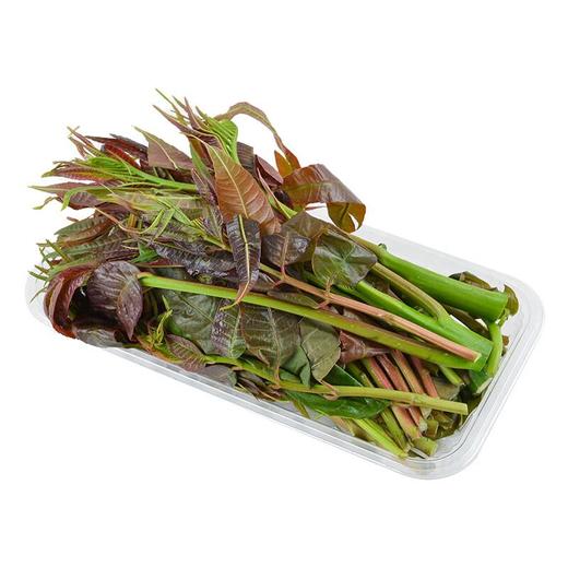 椿芽 约100g/盒 香椿 商品图4