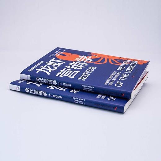 龙虾营销学②：有趣到停不下来的营销技巧 比尔·毕晓普商业经典系列丛书 商品图4