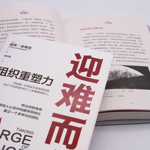 迎难而上:组织重塑力（精装典藏版） 商品图5