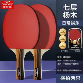 Deerway德尔惠乒乓球拍套装