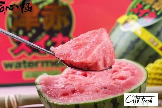 【BF】浓缩型营养西瓜1.2kg 商品图0