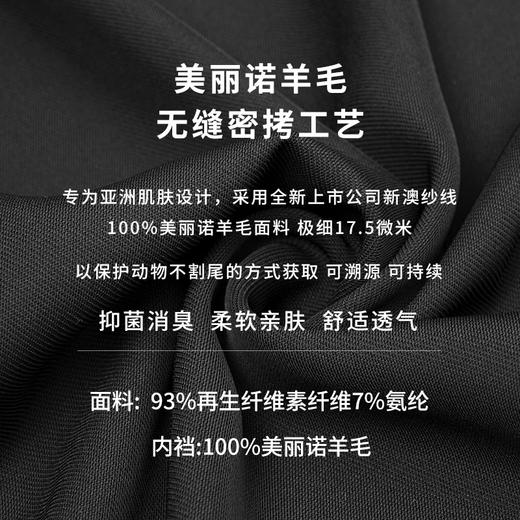 灰壳GP美利奴速干排汗AAA级抗菌防臭内裤（男款） 商品图2