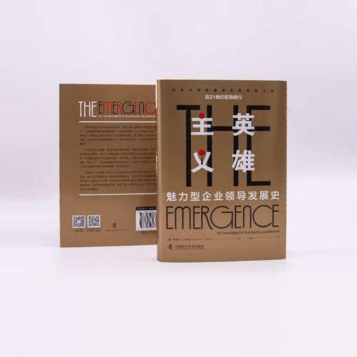 英雄主义：魅力型企业领导发展史（精装典藏版） 商品图4