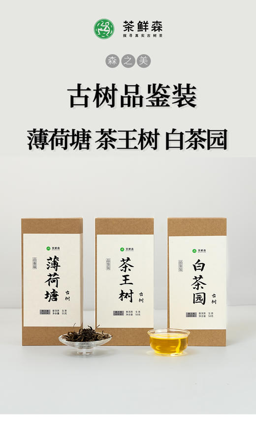 茶王树古树   白茶园古树  薄荷塘古树 50g品鉴装 商品图0