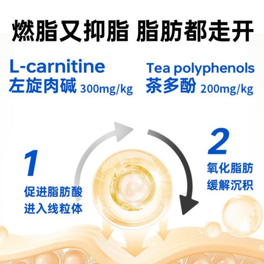 澳龙澳维康体控呵护全价猫粮1.2kg赠50g试吃 商品图4