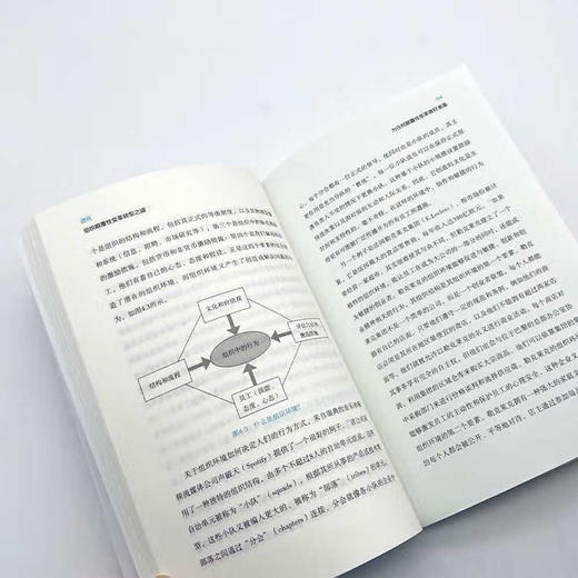 进化：组织颠覆性变革转型之道 商品图4