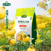 千优谷藜麦刺梨谷物脆 30g*7/袋 商品缩略图3